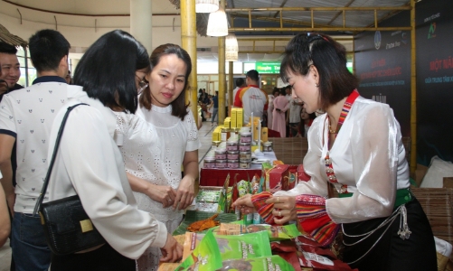 Hơn 3.000 chủ thể OCOP tham gia bán hàng nông sản trên nền tảng TikTok