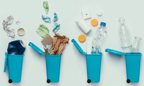 Ngành bao bì hướng tới sản xuất thân thiện với môi trường