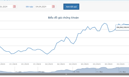 REE sắp chi 410 tỷ đồng cho cổ tức năm 2023 