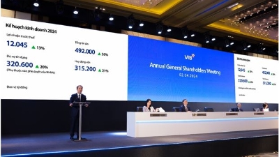 VIB approves 29.5% dividend payout and 2024 profit plan of nearly $482mln