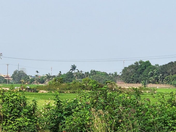 Vị tr&iacute; khu đất thực hiện dự &aacute;n