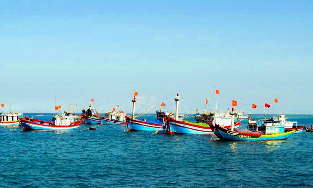 Việt Nam đang nỗ lực kiểm soát đánh bắt hải sản để gỡ thẻ vàng IUU