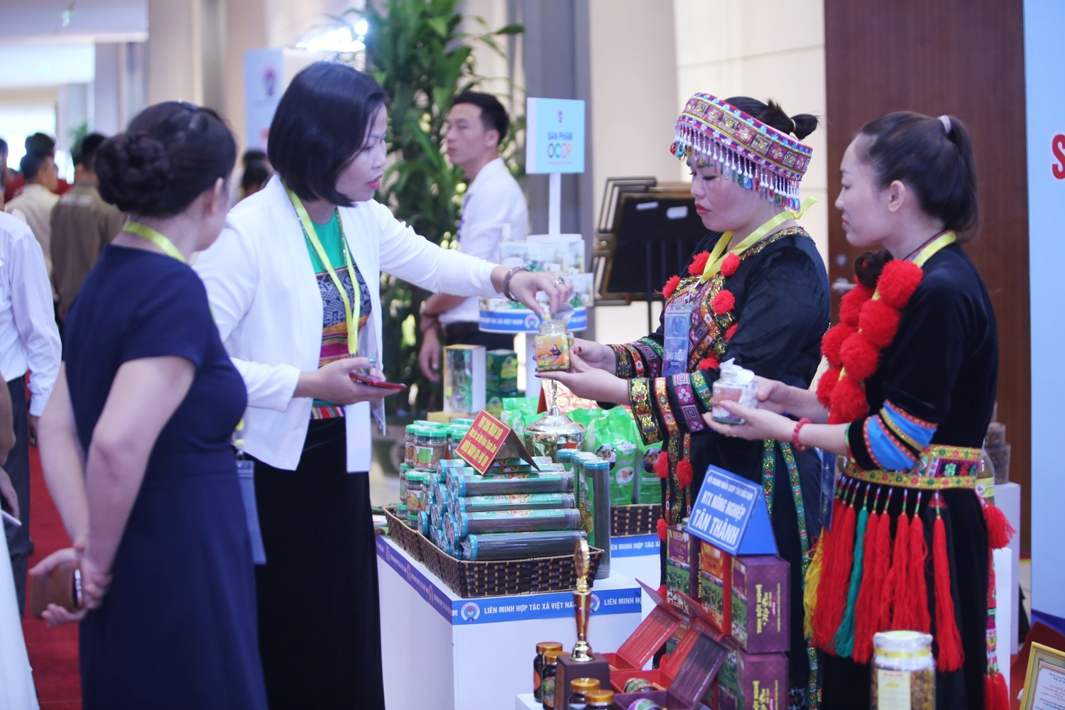 Các tổ chức kinh tế tập thể cần phải tự nâng cấp chính mình.