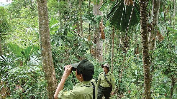 Bán tín chỉ carbon: Tiềm năng lớn của ngành nông nghiệp