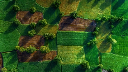 Vietnam Poised to Harness the Power of Carbon Markets