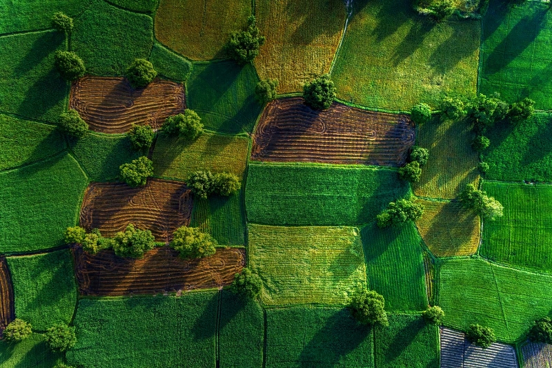 Vietnam Poised to Harness the Power of Carbon Markets