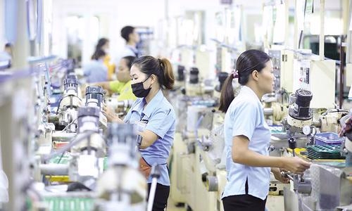 Vietnam on the Rise: European Businesses Signal Growing Confidence