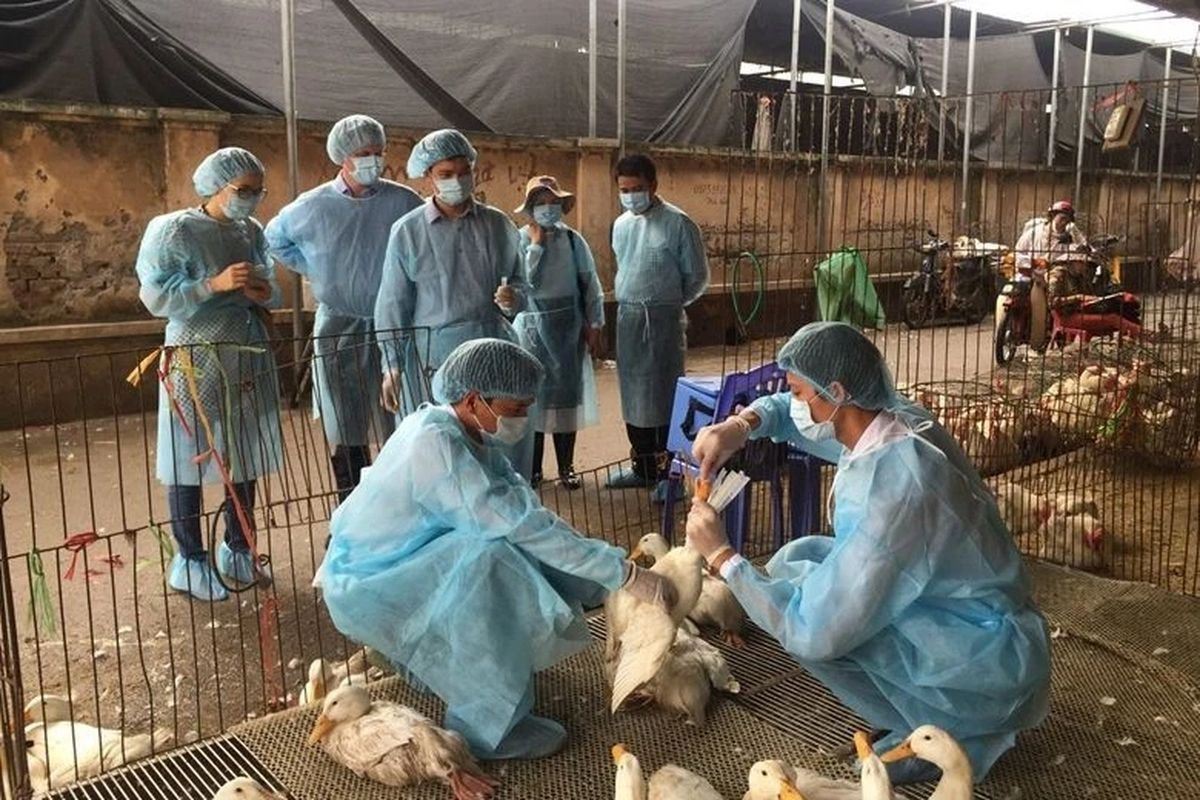 Cục Y tế dự ph&ograve;ng đề nghị ng&agrave;nh y tế Tiền Giang điều tra nguồn l&acirc;y v&agrave; xử l&yacute; triệt để ổ dịch.