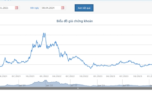 Lỗ và báo cáo tài chính có ý kiến ngoại trừ 2 năm, cổ phiếu DLG bị chuyển sang diện kiểm soát