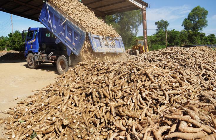 Tổng cục Thuế xây dựng cơ sở dữ liệu thông tin về các doanh nghiệp cung cấp đầu vào của doanh nghiệp hoàn thuế và thanh kiểm tra khi có rủi ro.