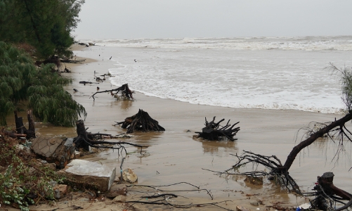 Quảng Bình chi 100 tỷ khắc phục khẩn cấp sạt lở bờ biển