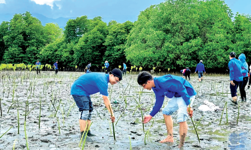Việt Nam cần có chiến lược phù hợp trong tiến trình dịch chuyển dòng vốn xanh