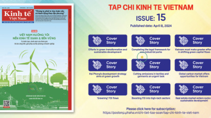 Tap chi Kinh te Viet Nam, Issue 15