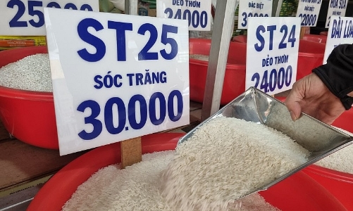 Giả mạo thương hiệu gạo ST25 và câu chuyện “loạn gạo” trên thị trường 