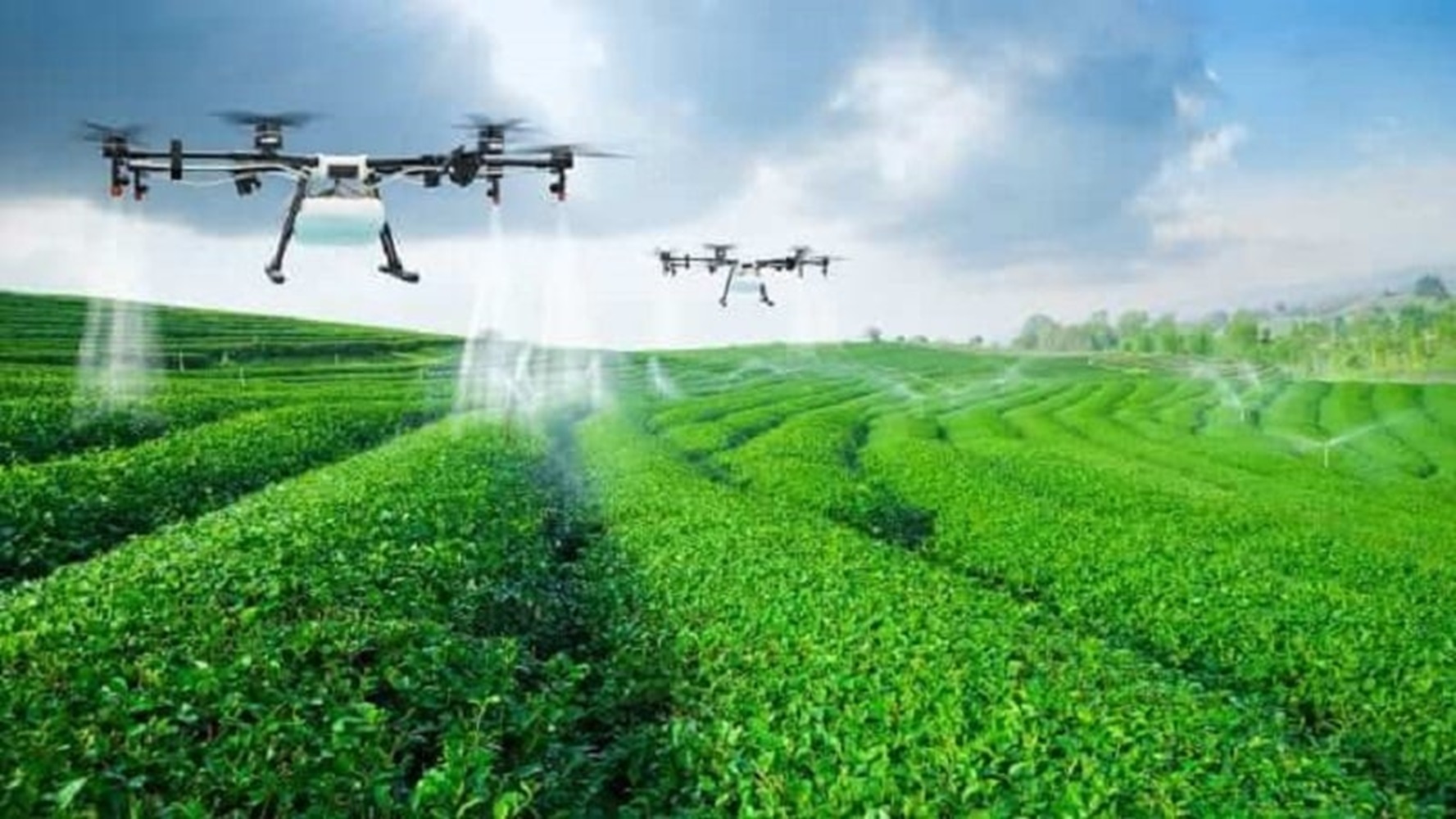 Các tiến bộ nông nghiệp đã giúp nông dân sử dụng chính xác chủng loại và lượng phân bón, thuốc bảo vệ thực vật.