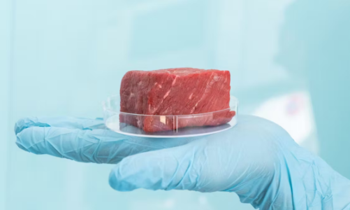 Thịt trong phòng thí nghiệm: Phản đối hay phát triển?