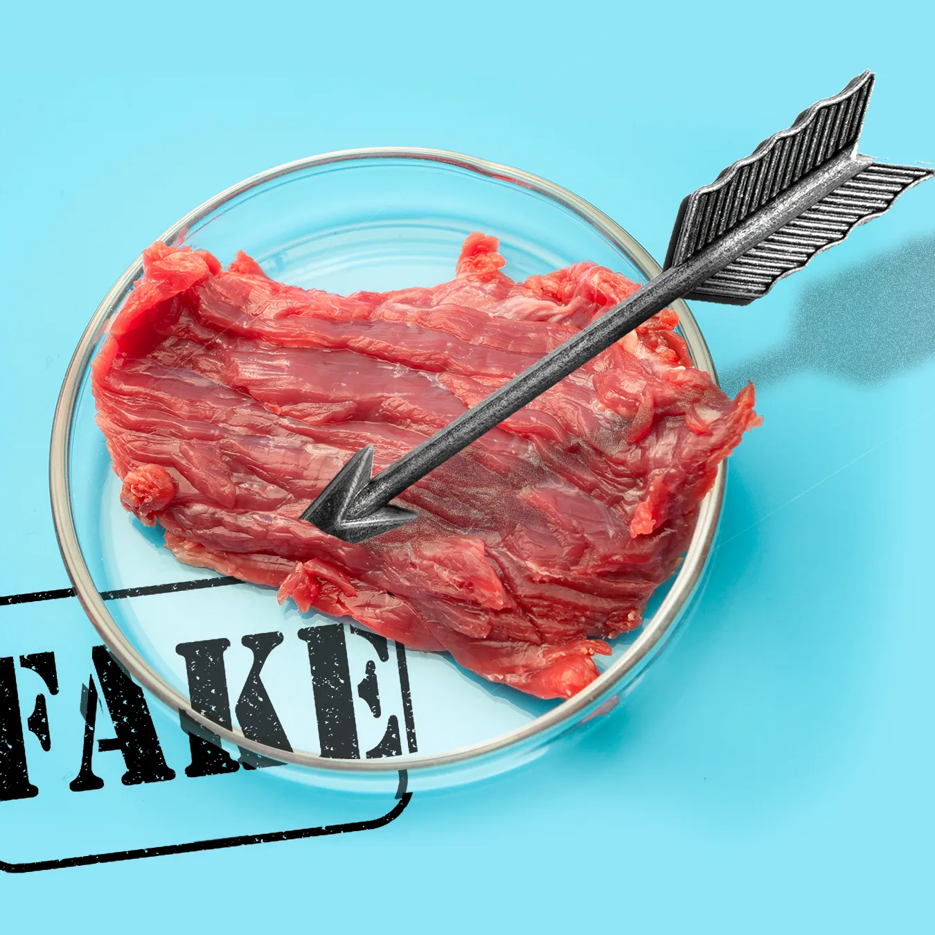 Thống đốc bang Florida, ông Ron DeSantis gọi các loại thịt nuôi cấy là “thịt giả”.