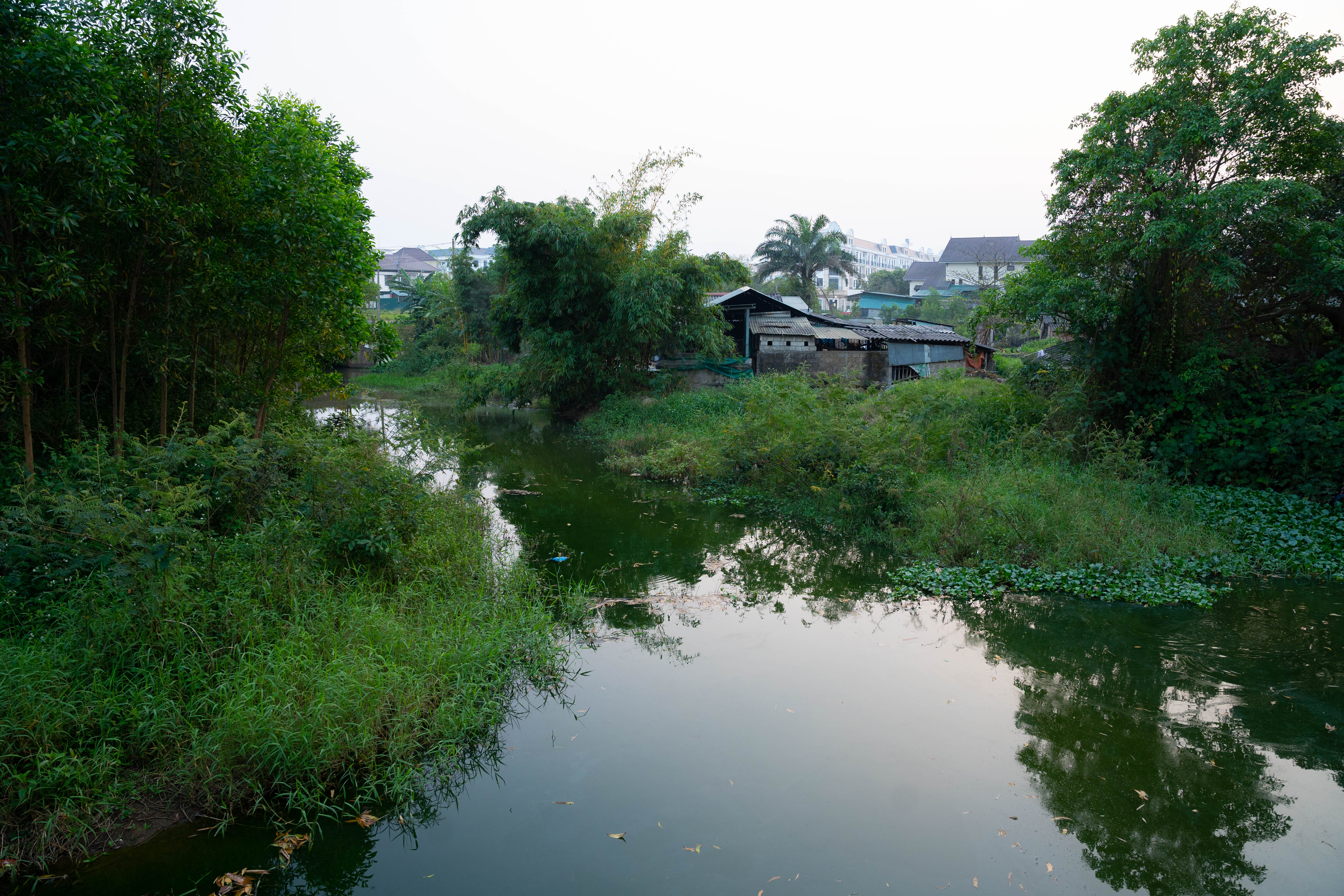 "In Quang Tri, specifically in Dong Ha city, the project aims to promote green urban development."