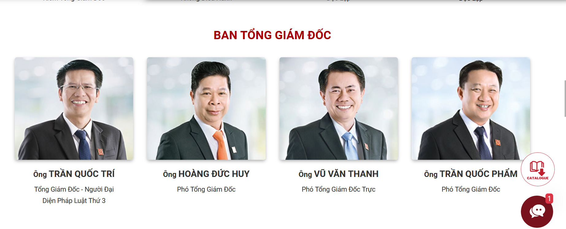 Ban Tổng giám đốc của HSG.