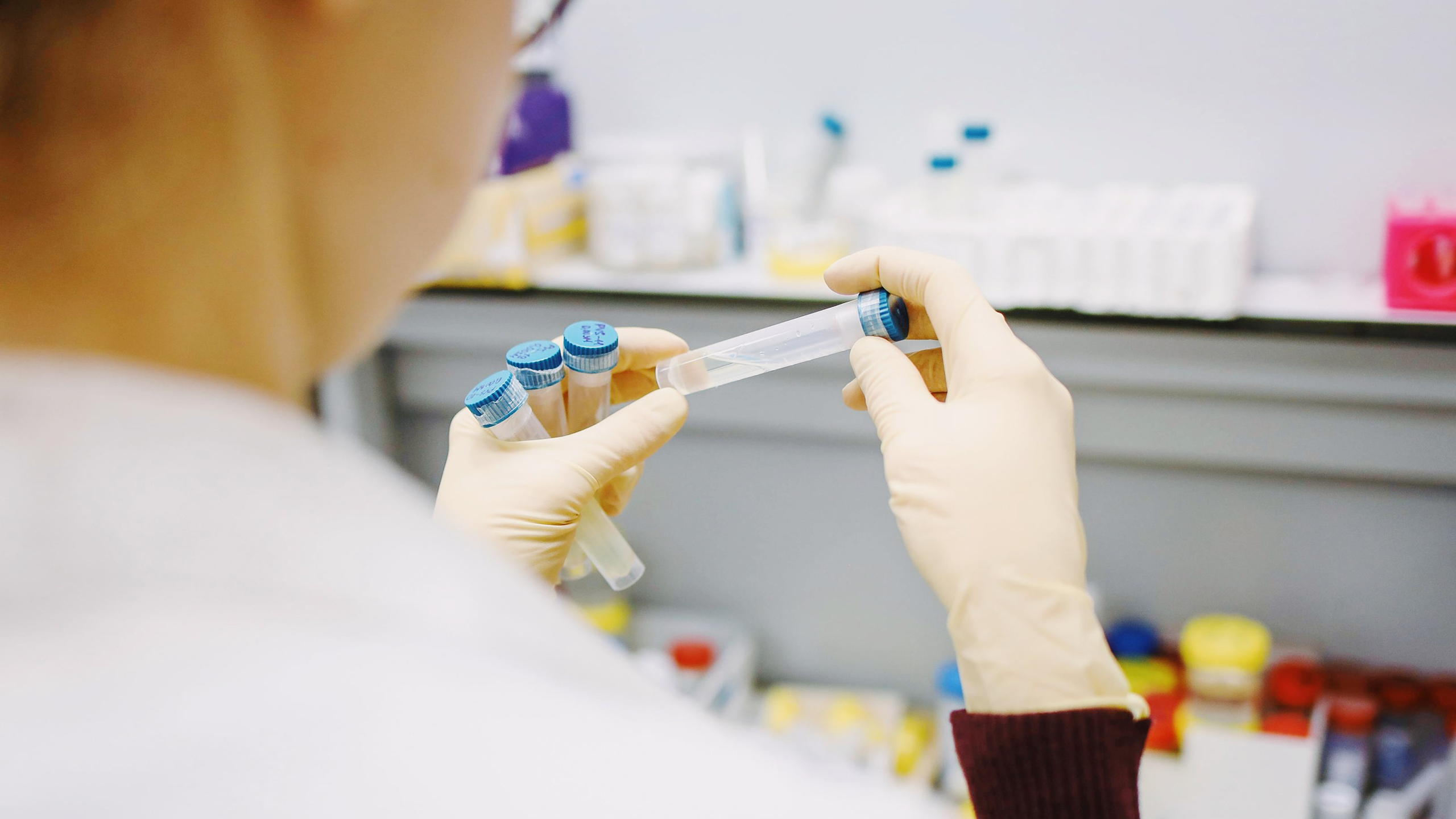 Ảnh: The Daily Upside