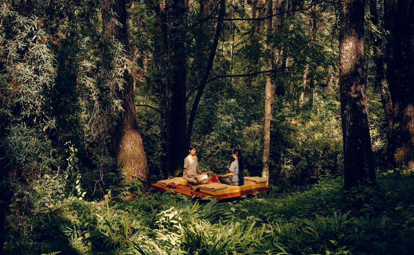 C&aacute;c tập đo&agrave;n&nbsp;tăng cường danh mục đầu tư của m&igrave;nh với c&aacute;c sản phẩm được thiết kế d&agrave;nh cho lớp du kh&aacute;ch trẻ tuổi gi&agrave;u c&oacute;.&nbsp;