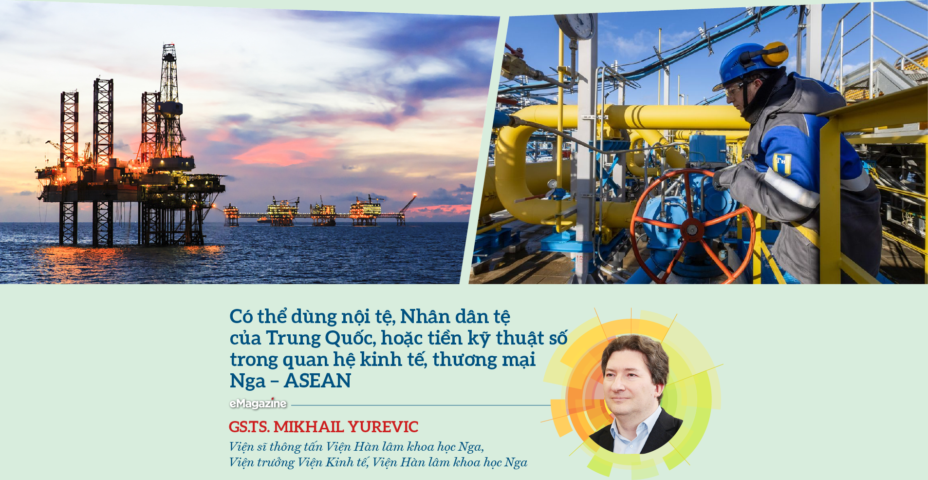 Chuyên gia Việt Nam và Nga “hiến kế” tăng cường hợp tác kinh tế - Ảnh 6