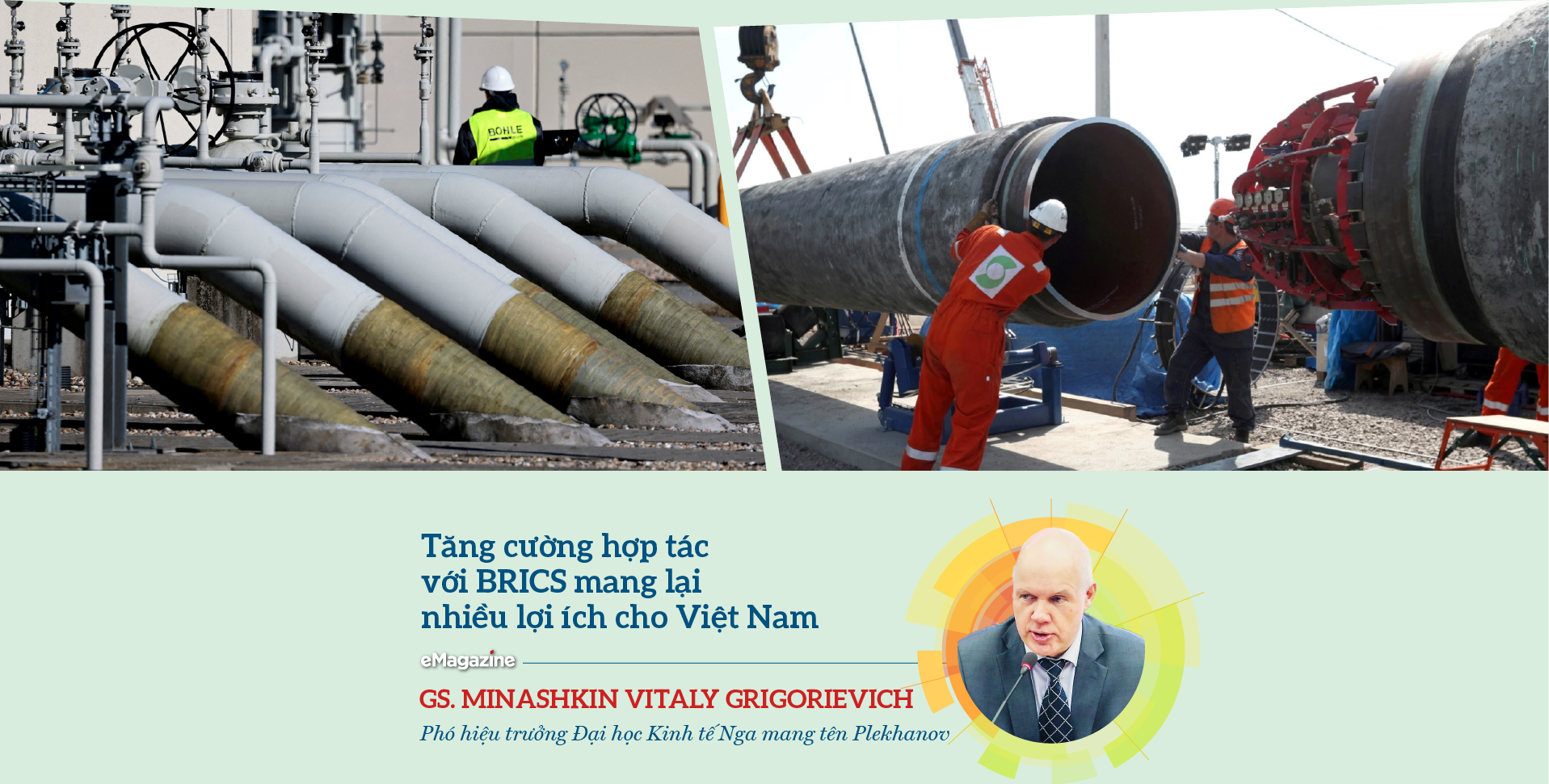 Chuyên gia Việt Nam và Nga “hiến kế” tăng cường hợp tác kinh tế - Ảnh 7