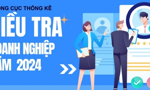 Bổ sung thông tin lao động nước ngoài trong Điều tra Doanh nghiệp 2024