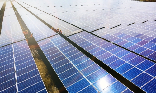 Bamboo Capital đạt doanh thu 985 tỷ đồng, lãi 98 tỷ đồng trong quý 1/2024