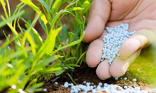 Chính phủ yêu cầu Bộ Tài chính hoàn thiện Luật Thuế giá trị gia tăng, thêm 12 loại hàng chịu thuế