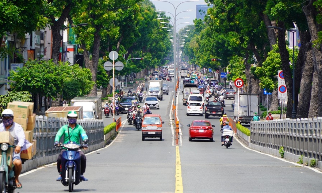 TP.HCM sắp di dời, đốn hạ hơn 450 cây xanh để làm metro số 2 - Ảnh minh họa.