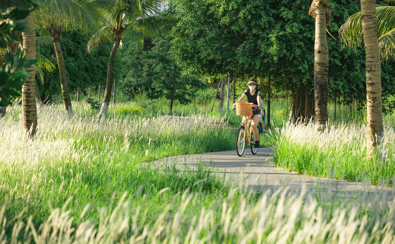 Ecopark không có đất trống, tất cả đều là vườn ươm cây.