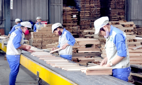 Thanh Hóa sắp có thêm nhà máy chế biến nông, lâm sản hơn 100 tỷ