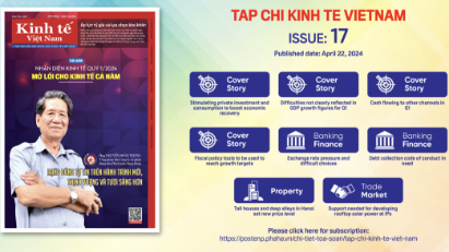 Tap chi Kinh te Viet Nam, Issue 17