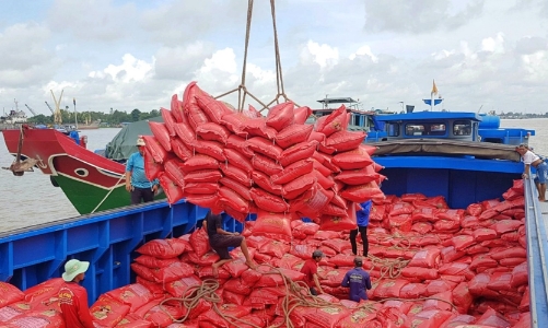 Xuất khẩu gạo tiếp tục duy trì tăng trưởng cao