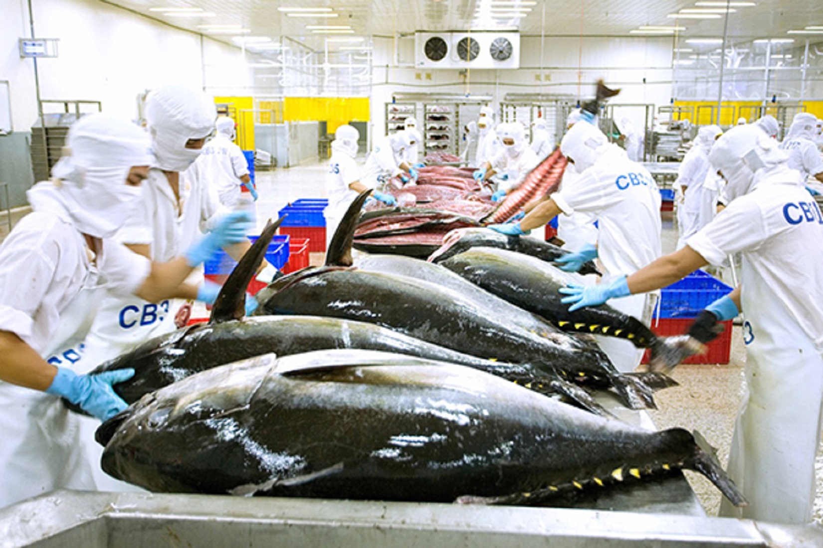 Vietnam's government on April 22 unveiled an ambitious plan to combat illegal, unreported, and unregulated (IUU) fishing practices.