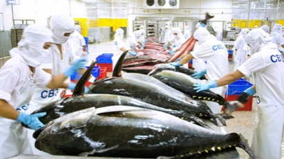 Vietnam Launches Ambitious Crackdown on Illegal Fishing