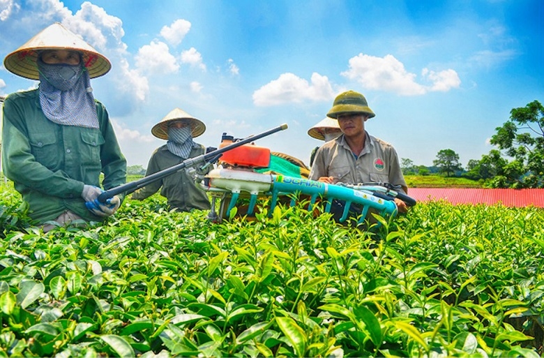 Khu  vực  kinh  tế  tập  thể  có  thể  được  vay  không  tài  sản  bảo  đảm  lên  tới  3 tỷ  đồng.
