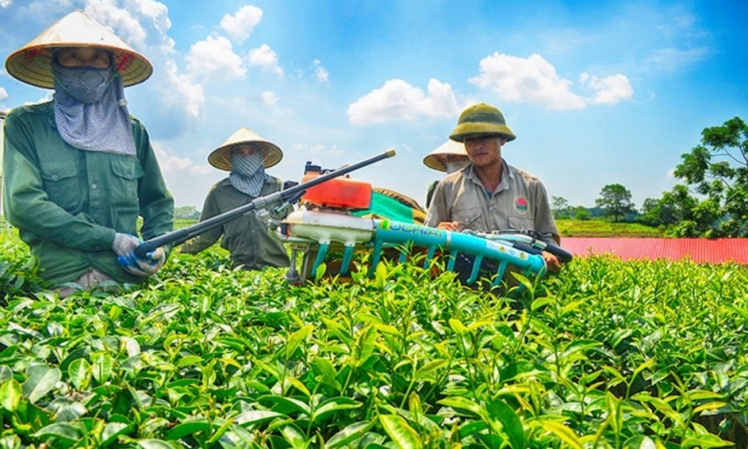 Khu  vực  kinh  tế  tập  thể  có  thể  được  vay  không  tài  sản  bảo  đảm  lên  tới  3 tỷ  đồng.