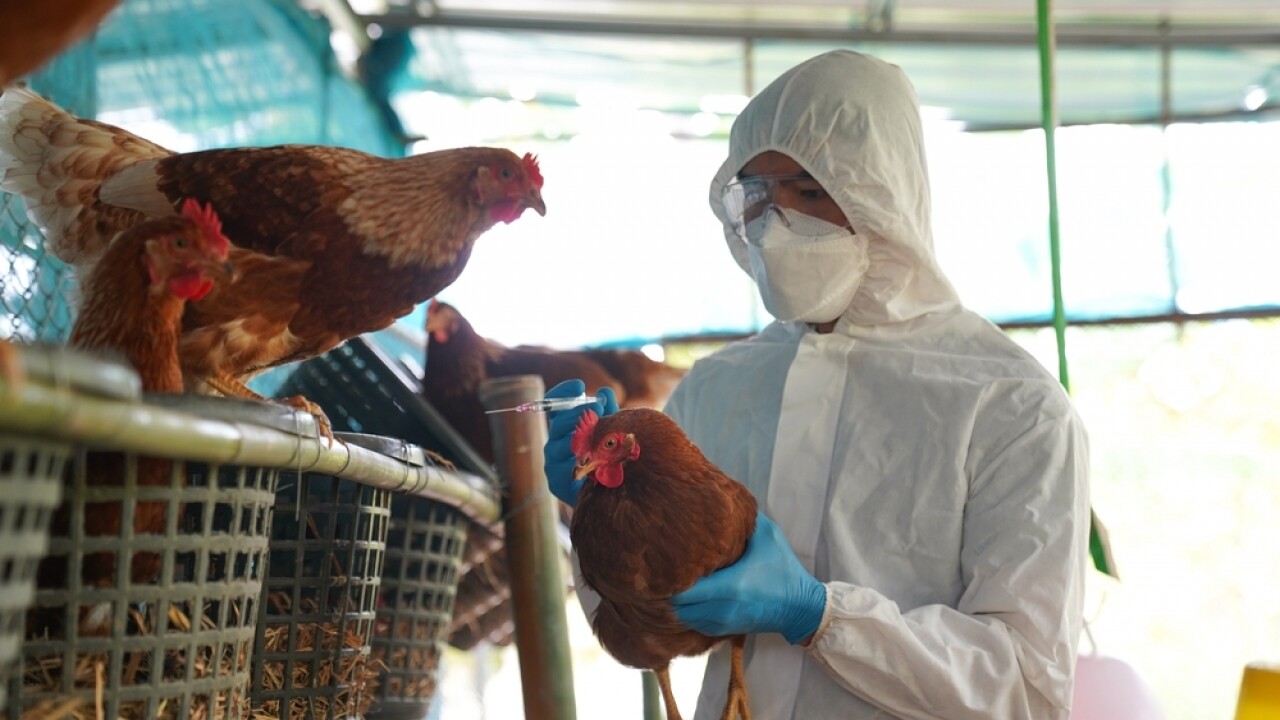 Virus dường như đang đi tìm những vật chủ mới và tình trạng virus lan sang nhóm động vật có vú.