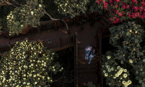 Giải nhiệt kỳ nghỉ lễ 30/4 - 1/5 với lễ hội hoa Tây Bắc