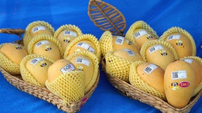 Vietnam's Agricultural Exports Face Repeated Setbacks in RoK Market