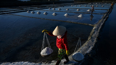 Fostering Resource Development: Vietnam's Plan for Mineral Exploitation