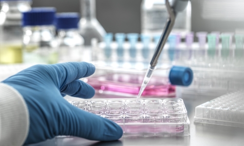 Băn khoăn sau vụ bê bối ngân hàng máu cuống rốn lớn nhất châu Á