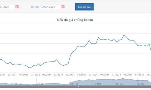 Vĩnh Hoàn xin lùi hạn nộp báo cáo tài chính quý 1/2024 tới ngày 15/5