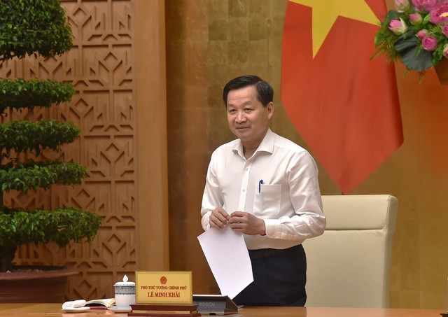 DPM Le Minh Khai at the conference. (Photo source: VGP)