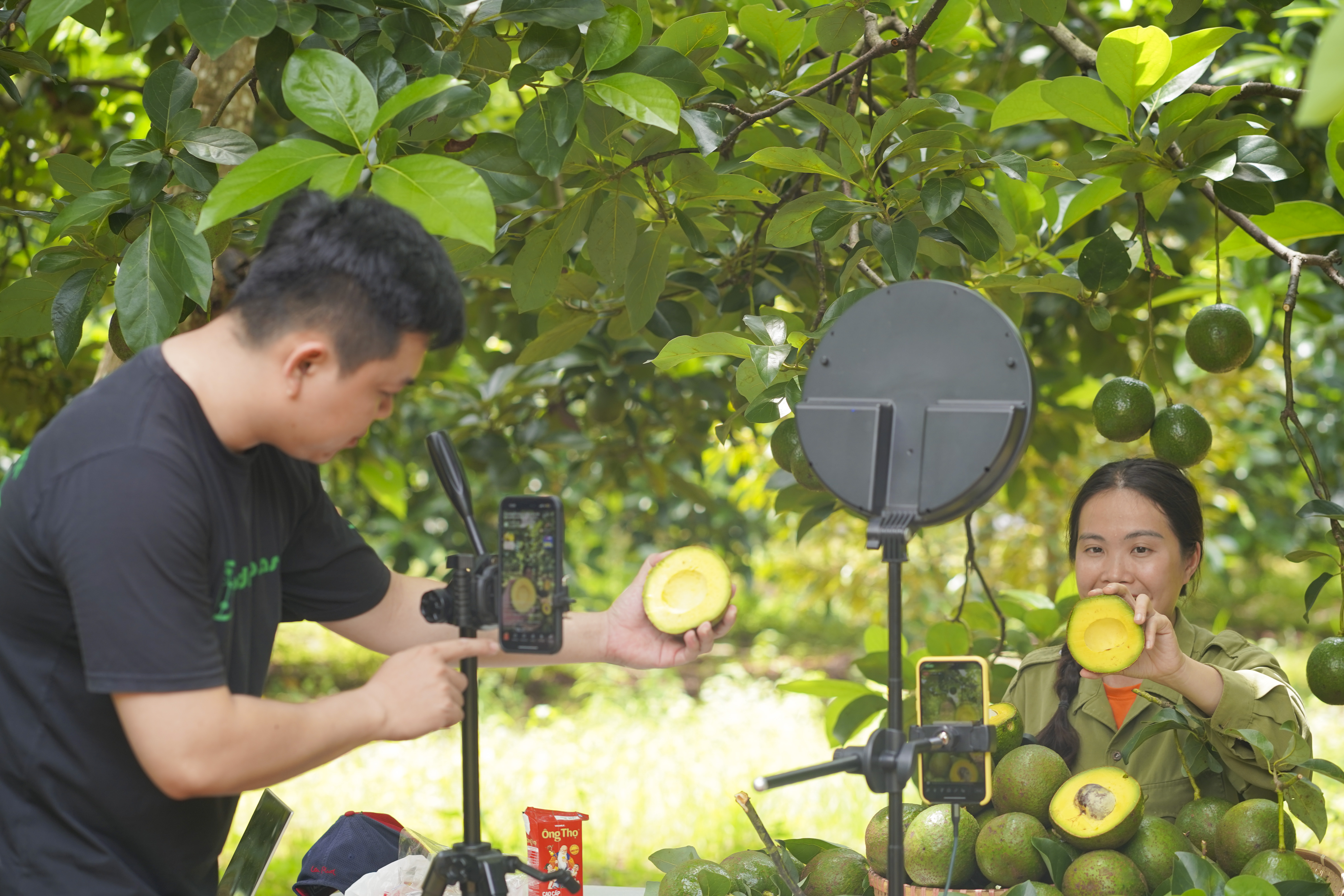 Shopee hỗ trợ FoodMap kết nối với KOL Hana Ban Mecirc; vagrave; thực hiện livestream ngay tại vườn bơ Đắk Lắk, giuacute;p doanh nghiệp tiecirc;u thụ hơn 200kg bơ booth chỉ sau 1 tiếng phaacute;t soacute;ng.