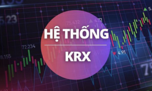 Công ty chứng khoán lưu ý nhà đầu tư hàng loạt vấn đề trước khi nâng cấp lên hệ thống KRX