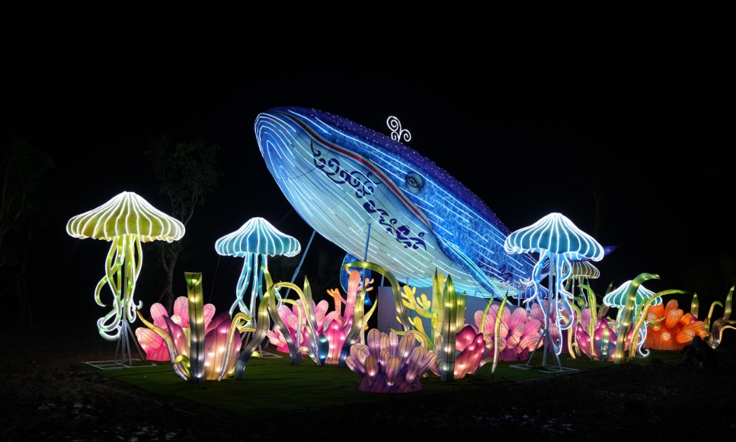 Công viên Ánh sáng Đồi Rồng - Dragon Ocean Lighting Park.