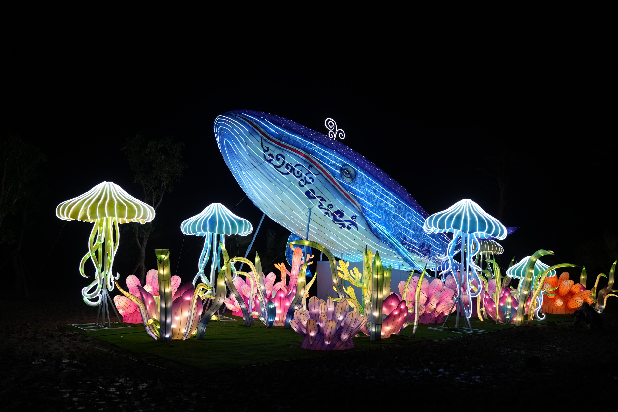 Công viên Ánh sáng Đồi Rồng - Dragon Ocean Lighting Park.